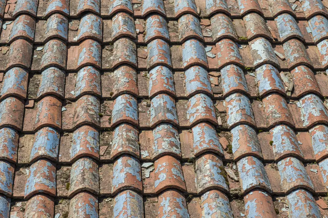 Peeling roof coating on concrete roof tiles, showing signs of weathering and the need for roof restoration.