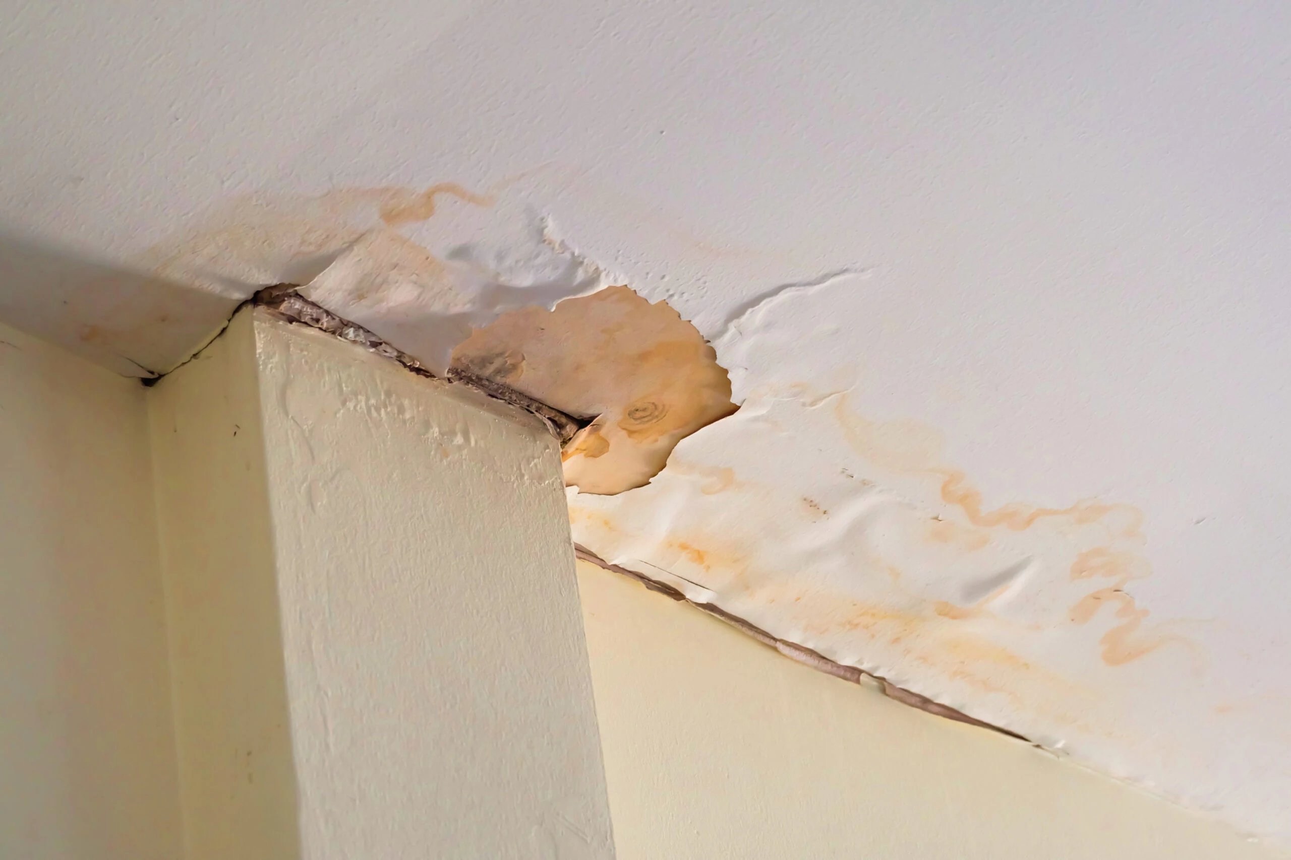 Water-stained interior ceiling with peeling paint caused by a roof leak in a Melbourne home.